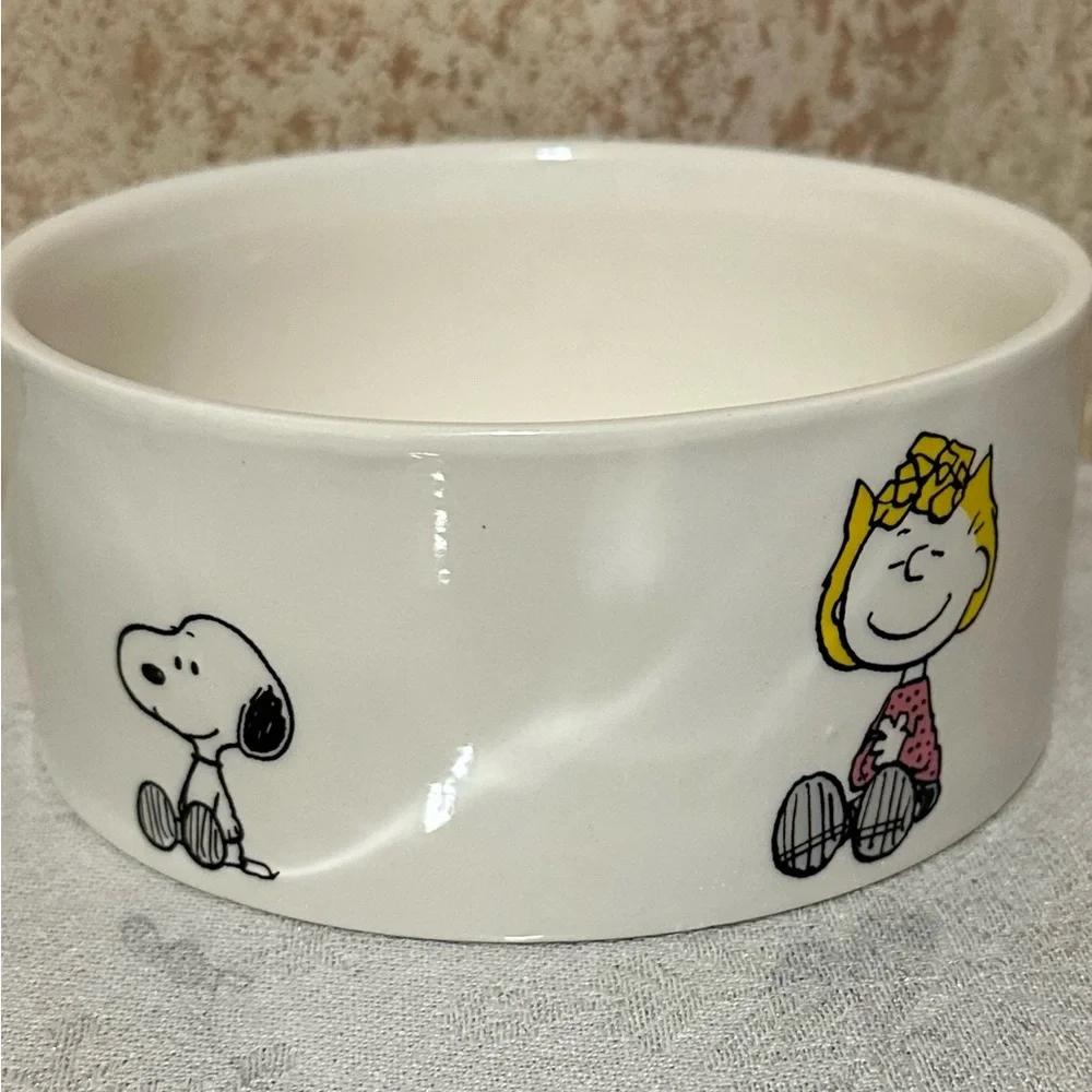 Peanuts Character Pet Bowl